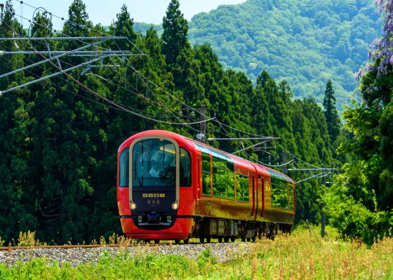 桜咲く高田城址公園観桜会と「えちごトキめきリゾート雪月花」