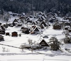 【中信発】世界遺産「白川郷・五箇山」　日帰り