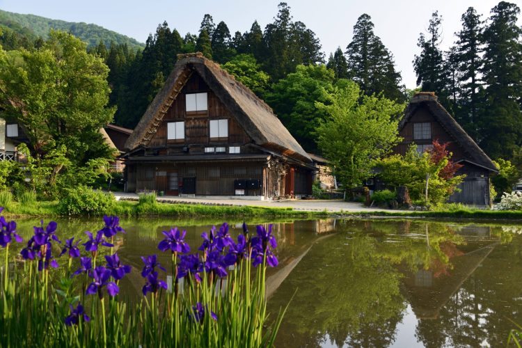 【中信発】世界遺産「白川郷・五箇山」　日帰り