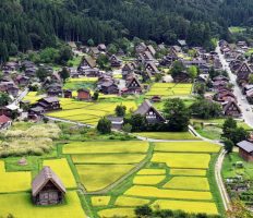 【中信発】世界遺産「白川郷・五箇山」　日帰り