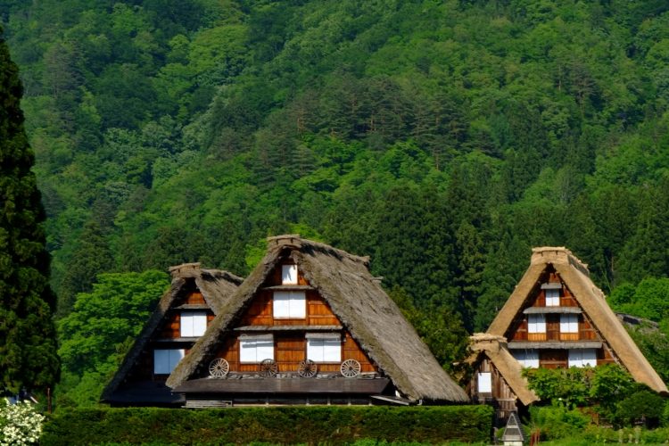 【中信発】世界遺産「白川郷・五箇山」　日帰り