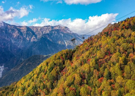 絶景！北アルプスのパノラマ景色とガイドと歩く 上高地・明神池