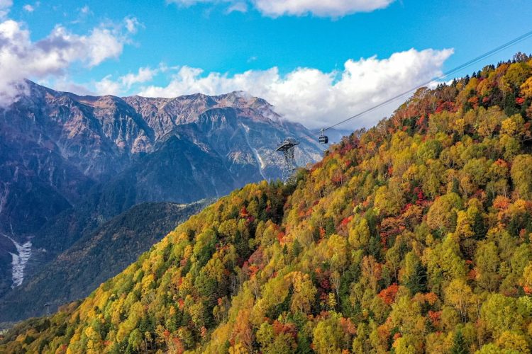 絶景!北アルプスのパノラマ景色とガイドと歩く 上高地・明神池