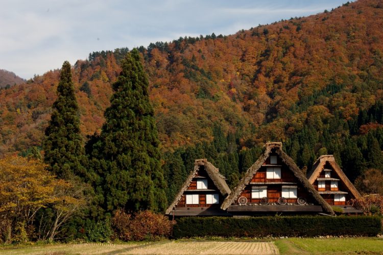 世界遺産「白川郷・五箇山」　日帰り