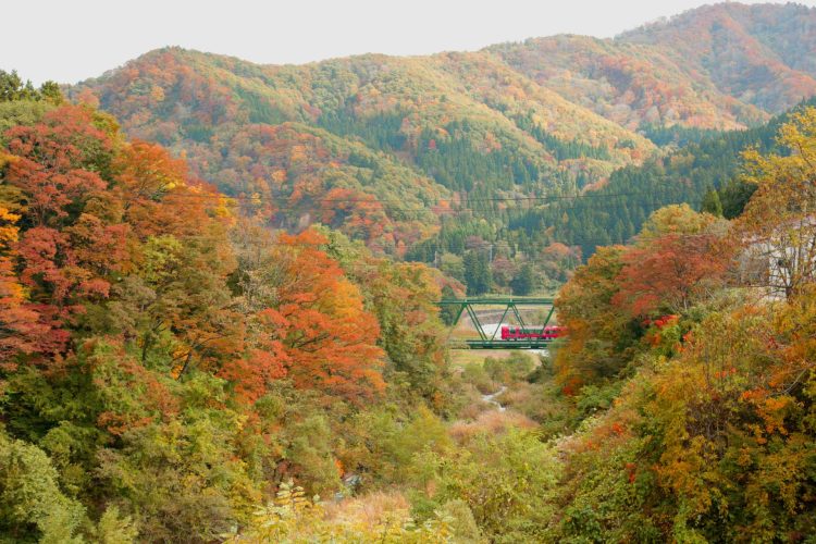 紅葉彩る季節「えちごトキめきリゾート雪月花」