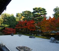 ＜北信発＞ 紅葉の京都　相国寺・妙心寺大雄院特別公開