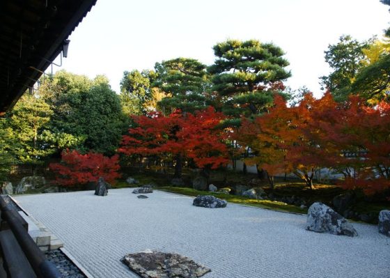 紅葉の京都　相国寺・妙心寺大雄院特別公開