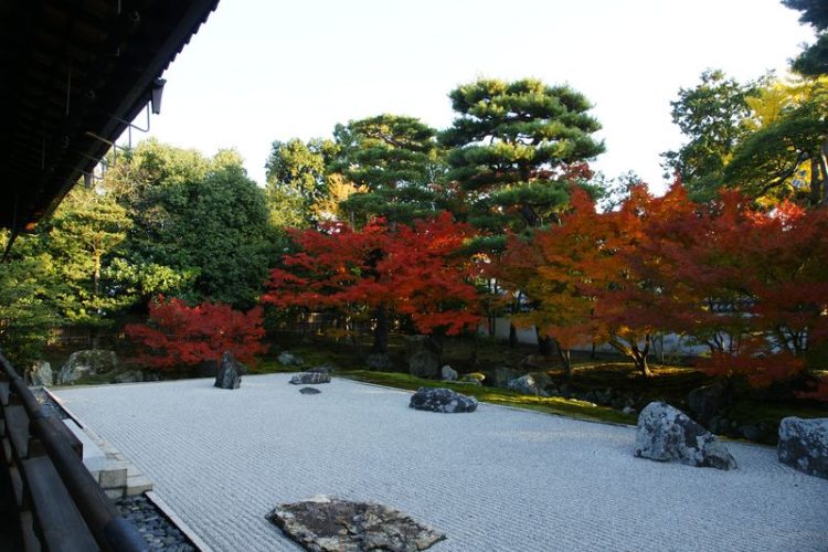 ＜北信発＞ 紅葉の京都　相国寺・妙心寺大雄院特別公開