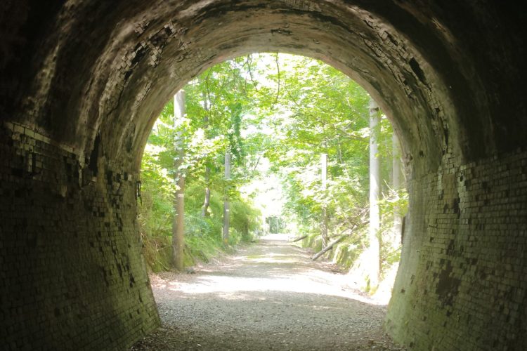 安曇野・明科 OUTDOOR MEETING 安曇野わさび x 篠ノ井線廃線敷トレッキング