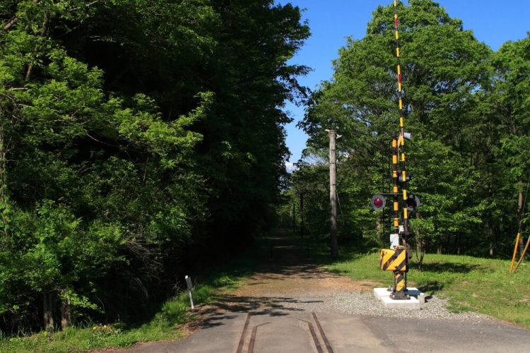 安曇野・明科 OUTDOOR MEETING 安曇野わさび x 篠ノ井線廃線敷トレッキング