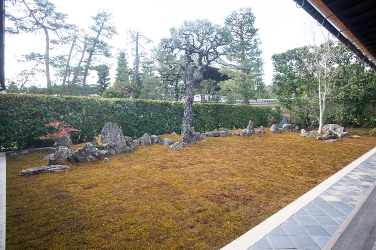 紅葉の京都 大徳寺聚光院 特別公開と對龍山荘