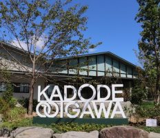 おとなのための社会見学　KADODE OOIGAWA緑茶ツアーズ