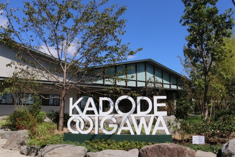 おとなのための社会見学 KADODE OOIGAWA緑茶ツアーズ