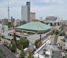 大相撲一月場所 マスB席貸切｜長野 県内発・JRで行く東京観戦｜信毎観光