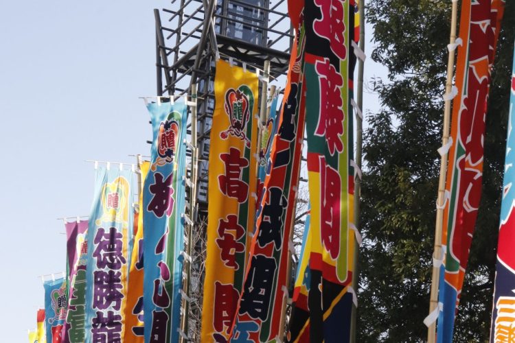 大相撲一月場所 マスB席貸切|長野 県内発・JRで行く東京観戦|信毎観光